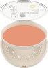 Sante Compact Make-up 02 Warm Meadow